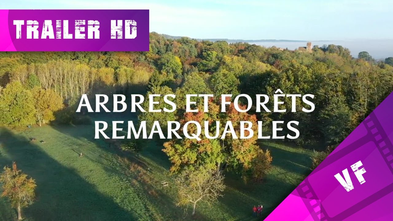 Arbres Et Forêts Remarquables Un Univers à Explorer Arbres et forêts Remarquables, un univers à explorer - CineTaz