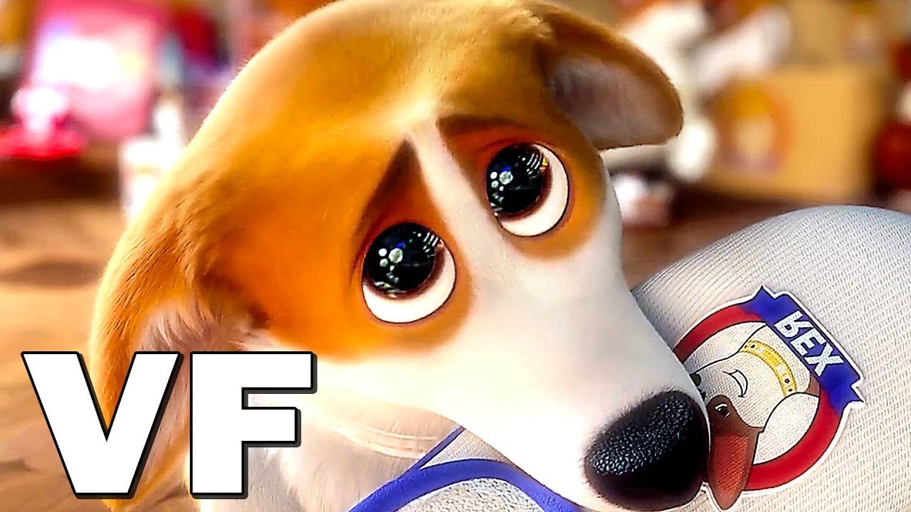 Royal Corgi Streaming Hd Vostfr